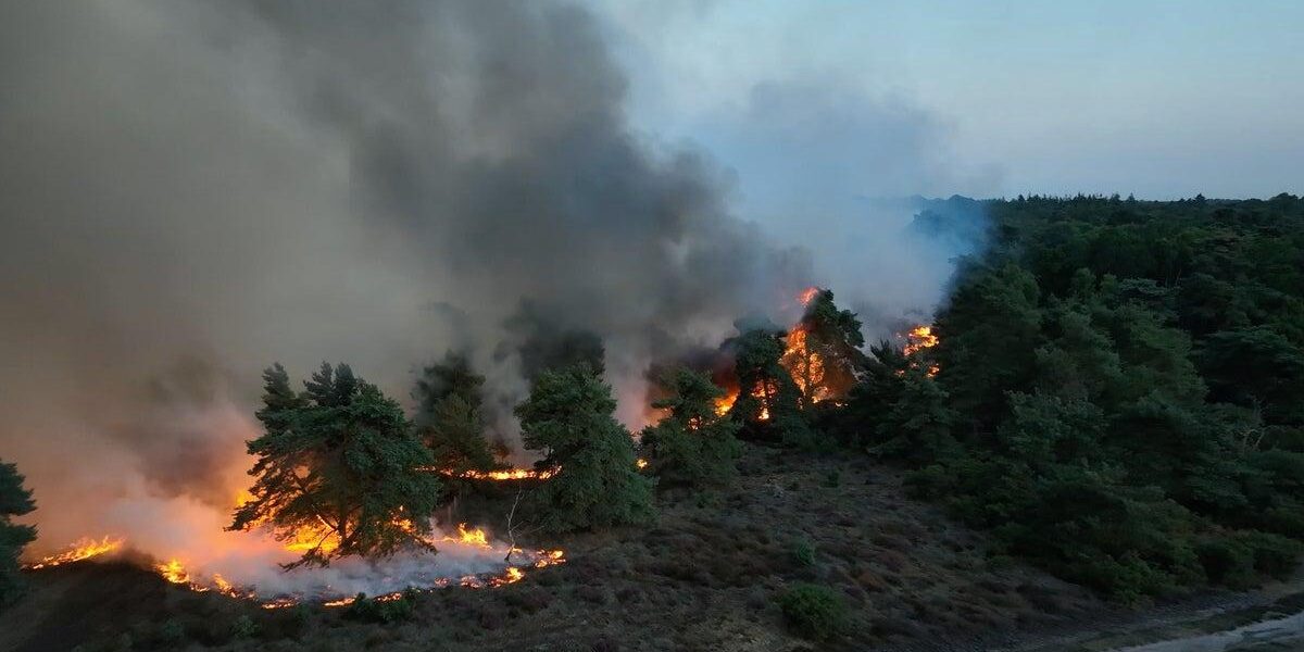 Suffolk Wildfire Update: Blaze Engulfs Area Equivalent to 210 Football Pitches; Nuclear Plant on High Alert