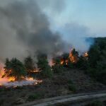 Suffolk Wildfire Update: Blaze Engulfs Area Equivalent to 210 Football Pitches; Nuclear Plant on High Alert Suffolk Wildfire Update: Blaze Engulfs Area Equivalent to 210 Football Pitches; Nuclear Plant on High Alert