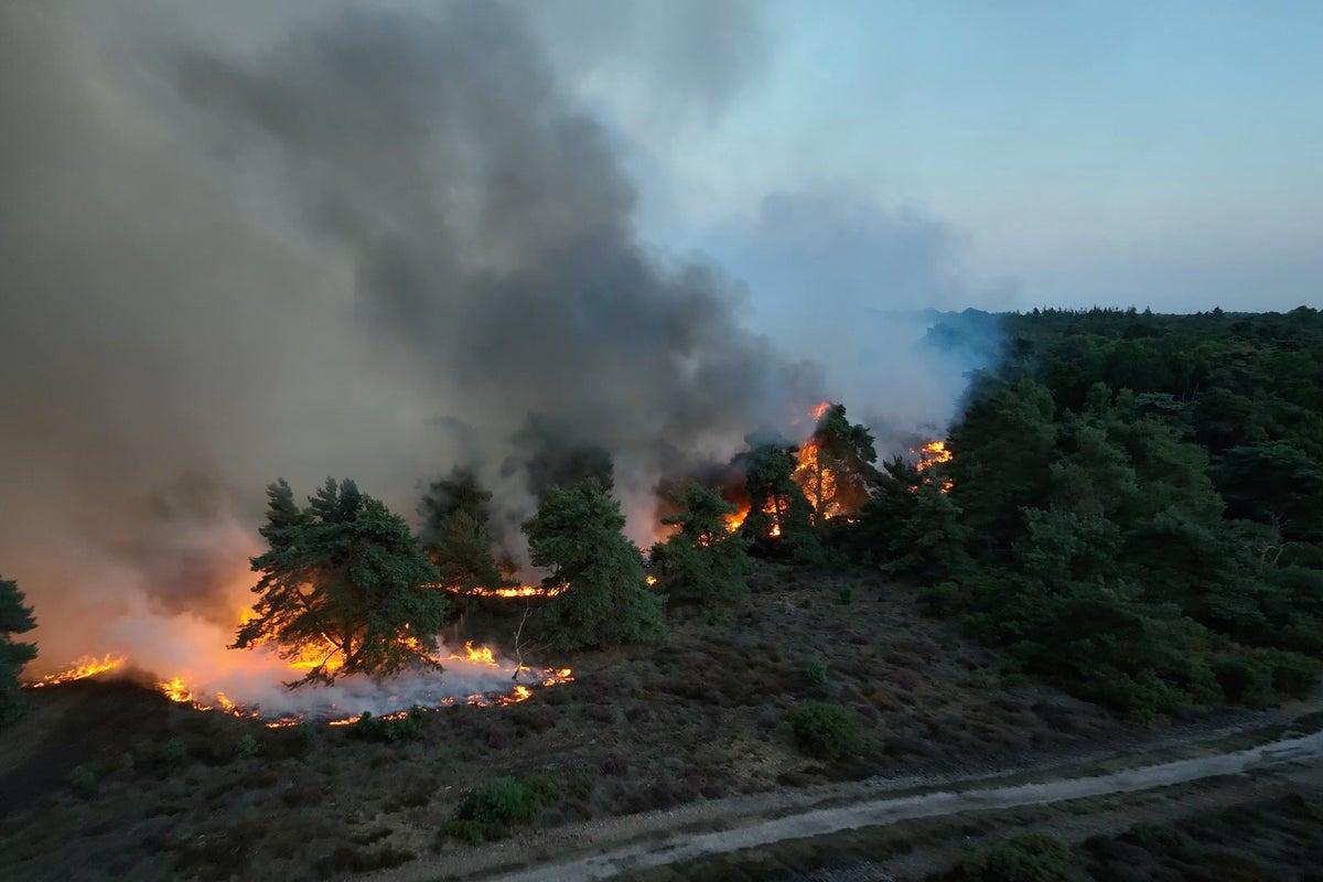 Suffolk Wildfire Update: Blaze Engulfs Area Equivalent to 210 Football Pitches; Nuclear Plant on High Alert