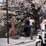 Kyoto Overtourism Crisis: Chinese Tourists Unjustly Blamed Despite Sharp Decline in Arrivals