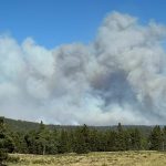 New Mexico’s Beehive Fire: Uncontained Blaze, Global Warning