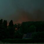 Europe’s Blazes: A Fading Forest, A Continent’s Deepening Climate Debt