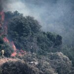 Evacuations Underway as Wildfires Ravage France’s Mediterranean Coast