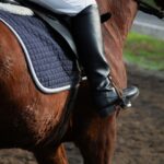Tragedy Strikes: Two Horse Riders Fatally Injured in Cross-Country Eventing Competitions