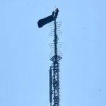 Empire State Proposal: Daredevils Face Felony Charges