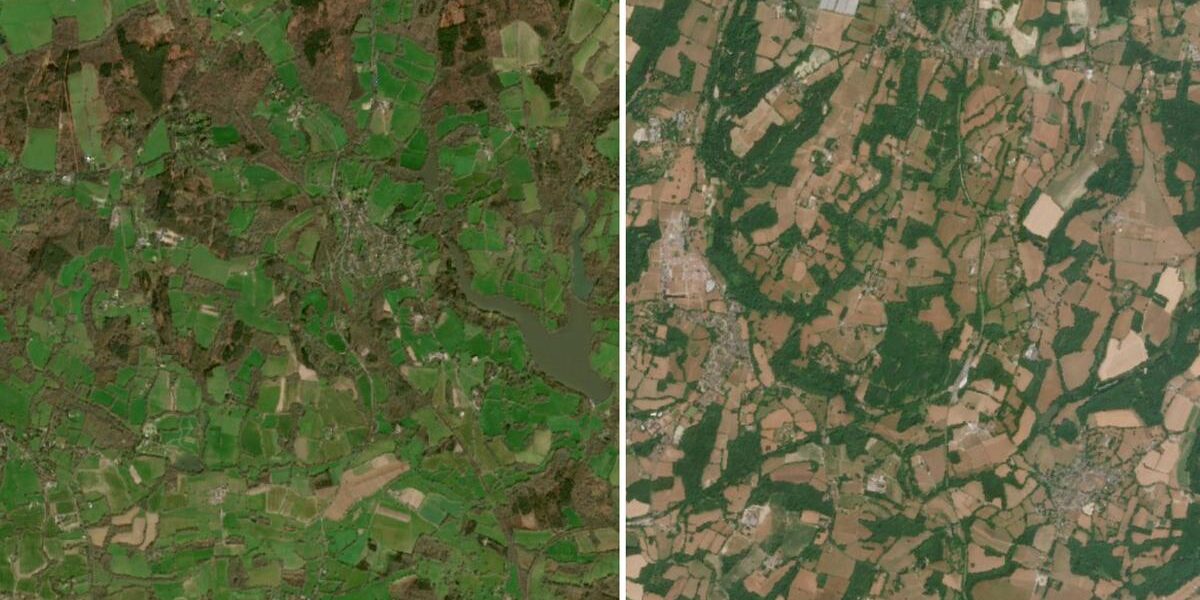 Satellite Imagery Reveals Severe Impact of UK Drought and Heatwaves