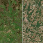 Satellite Imagery Reveals Severe Impact of UK Drought and Heatwaves Satellite Imagery Reveals Severe Impact of UK Drought and Heatwaves