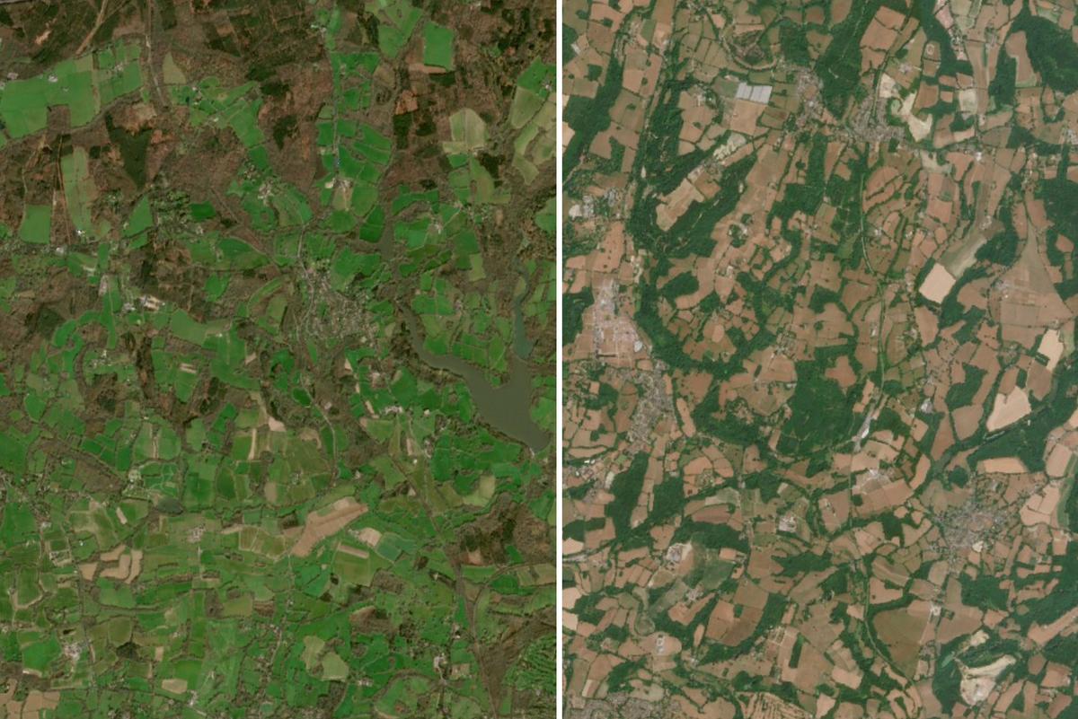 Satellite Imagery Reveals Severe Impact of UK Drought and Heatwaves