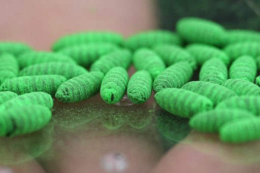 The Drone Wars of a Deeper Pestilence: Washington’s Fly Factory Gamble The Drone Wars of a Deeper Pestilence: Washington’s Fly Factory Gamble