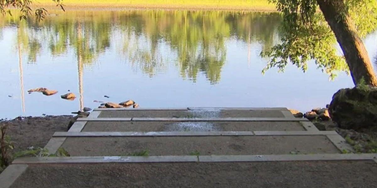 Pet Owner Believes Dog’s Death Linked to Toxic Algae in Charles River Pet Owner Believes Dog’s Death Linked to Toxic Algae in Charles River
