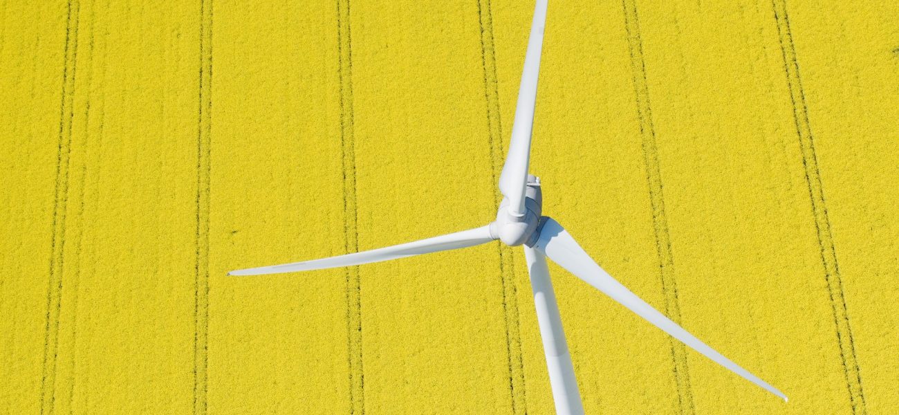 Germany’s Green Gamble: 60% Renewable Energy Milestone