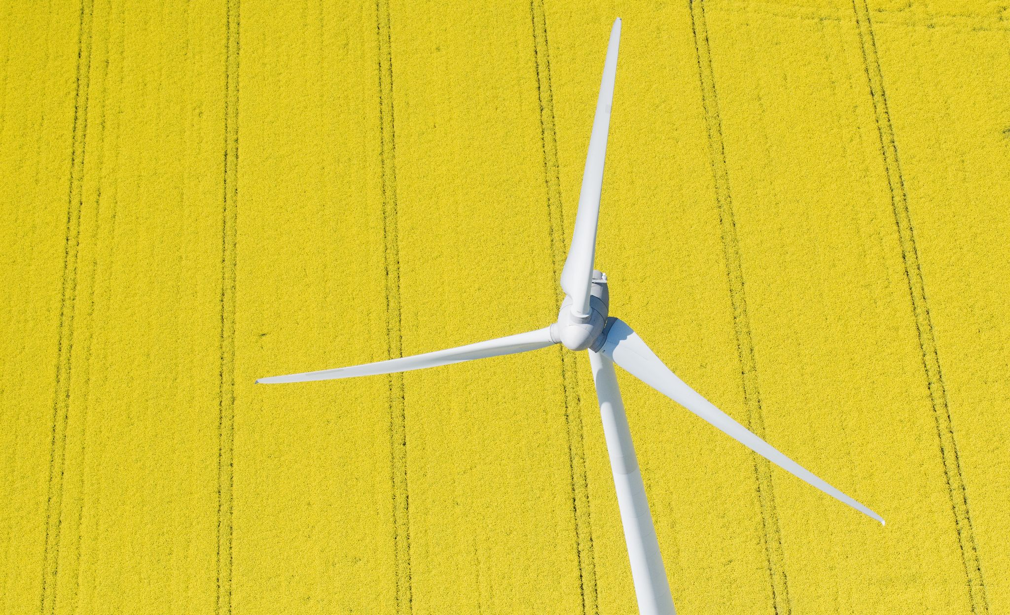Germany’s Green Gamble: 60% Renewable Energy Milestone