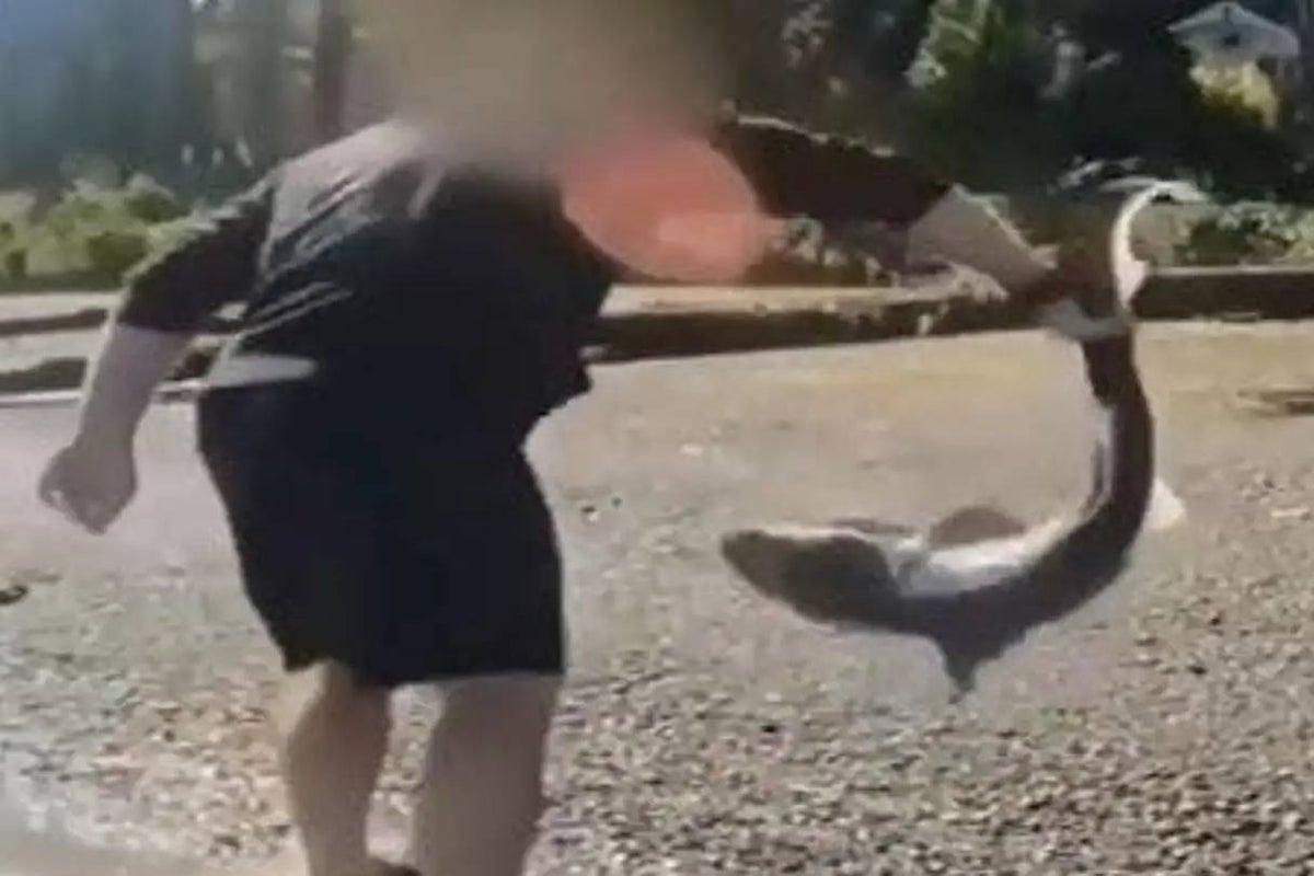 Man Charged with Unlawful Fishing After Alleged Shark Wrestling Incident Man Charged with Unlawful Fishing After Alleged Shark Wrestling Incident