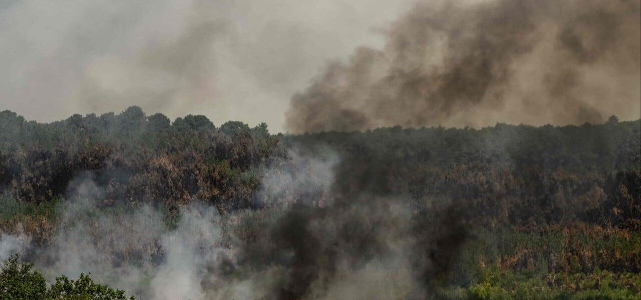 France and Spain Battle Wildfires as New Heatwave Approaches France and Spain Battle Wildfires as New Heatwave Approaches
