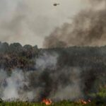 France and Spain Battle Wildfires as New Heatwave Approaches France and Spain Battle Wildfires as New Heatwave Approaches