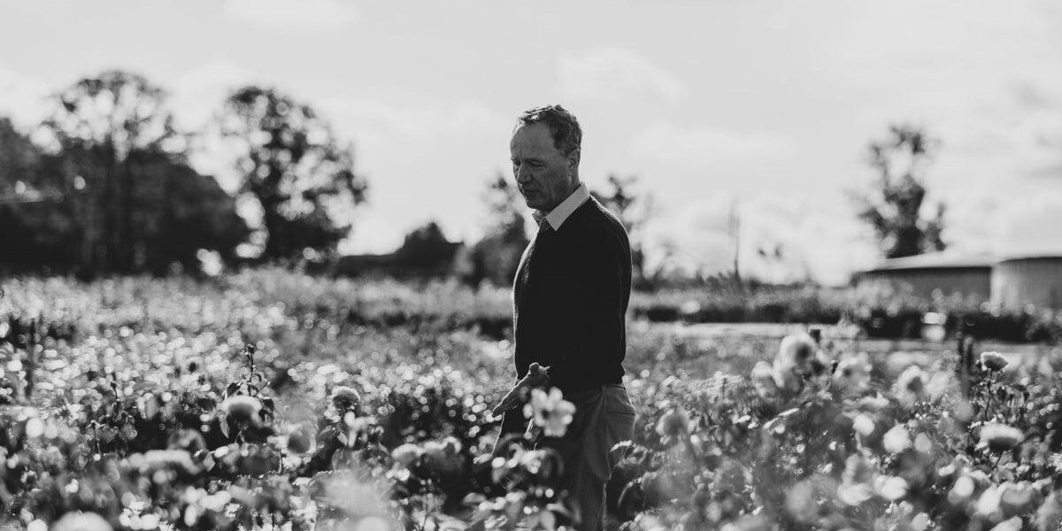 Rose Growing Icon David Austin Passes Away at 67 Rose Growing Icon David Austin Passes Away at 67