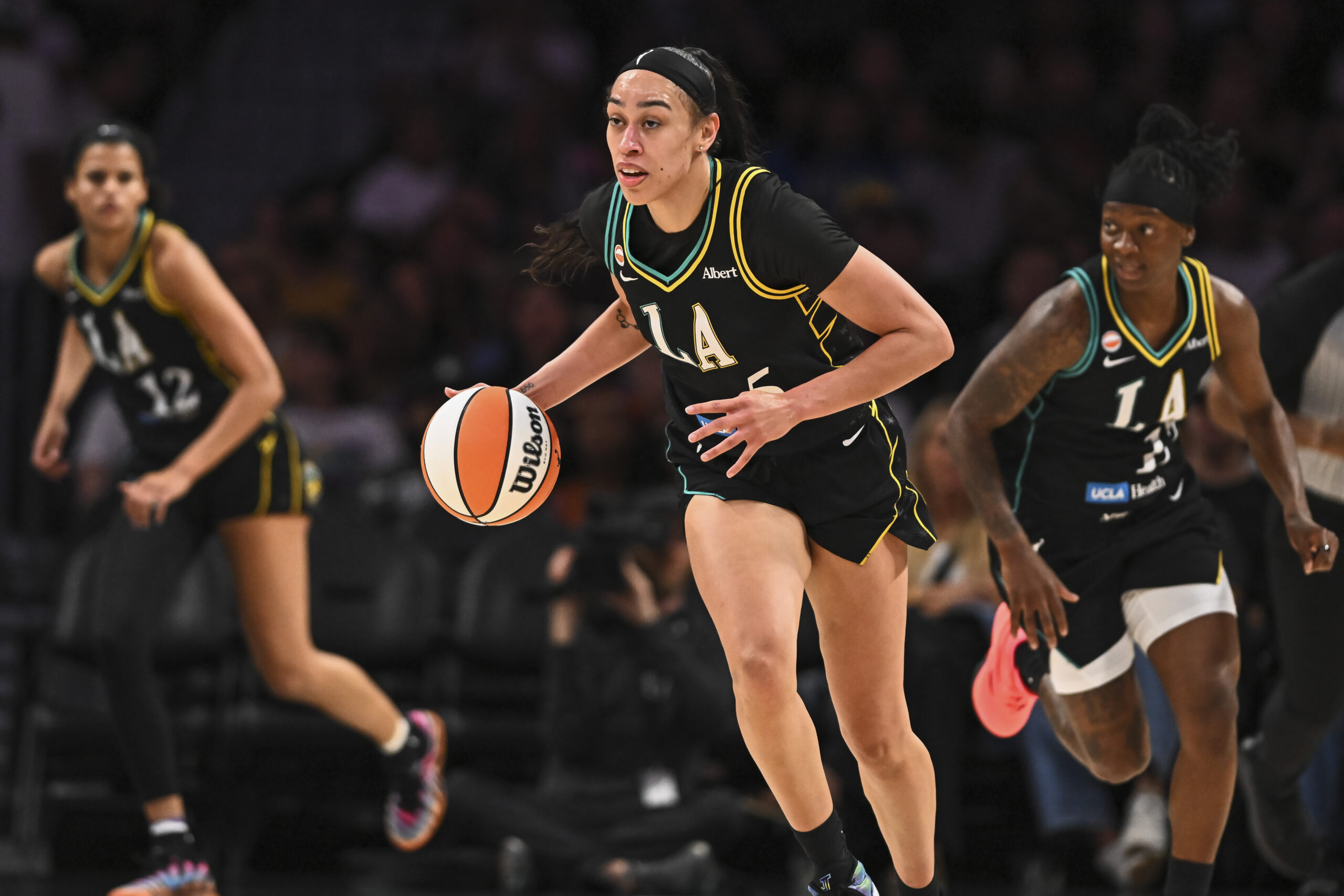 Hoops & Hardball: The WNBA’s Shifting Sands of Fortune Reflect Broader Economic Headwinds Hoops & Hardball: The WNBA’s Shifting Sands of Fortune Reflect Broader Economic Headwinds