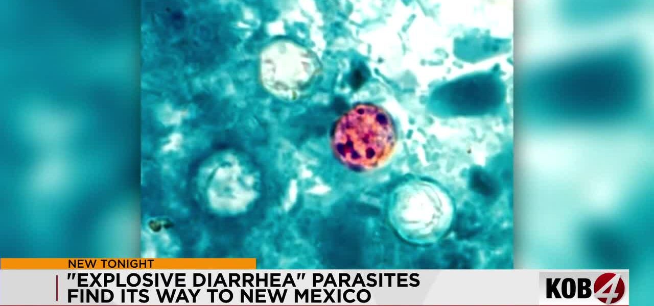 The Unseen Scourge: New Mexico’s Cyclospora Crisis Whispers of Wider Global Risks