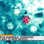 The Unseen Scourge: New Mexico’s Cyclospora Crisis Whispers of Wider Global Risks The Unseen Scourge: New Mexico’s Cyclospora Crisis Whispers of Wider Global Risks