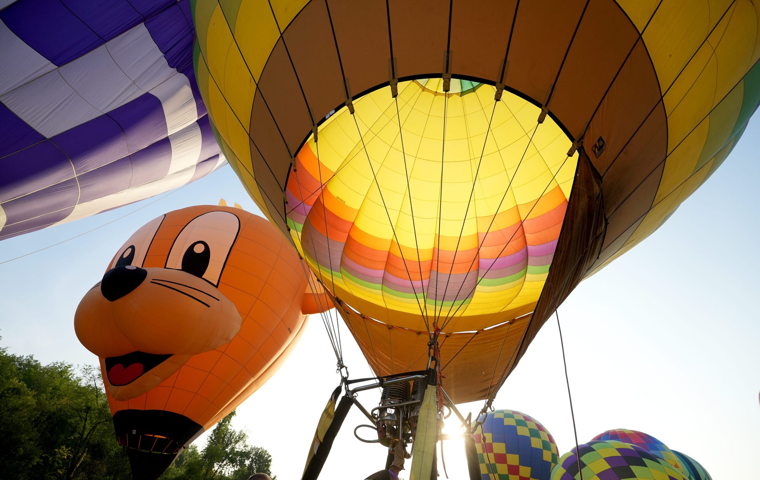 Canton’s Curious Carnival: Where Hot Air Balloons Meet Gridiron Gods, and Money Talks Loudest