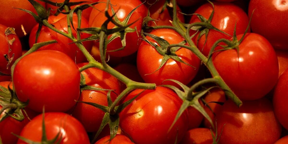 Sainsbury’s Partners with British Salad Producers to Combat Food Shortage Fears Sainsbury’s Partners with British Salad Producers to Combat Food Shortage Fears