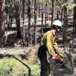 New Mexico Fire: Global Climate Battle Microcosm New Mexico Fire: Global Climate Battle Microcosm
