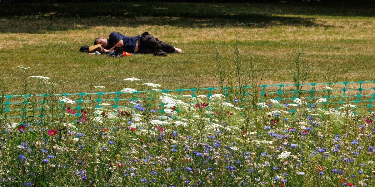 Understanding Summer Fatigue: Causes and Solutions