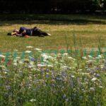 Understanding Summer Fatigue: Causes and Solutions