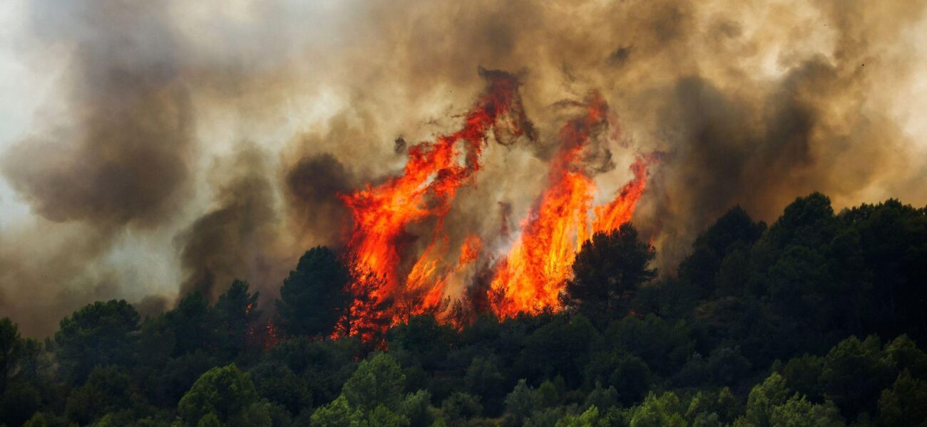 Scientists Express Concern Over Implications of Recent Artana Wildfires Scientists Express Concern Over Implications of Recent Artana Wildfires