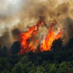 Scientists Express Concern Over Implications of Recent Artana Wildfires Scientists Express Concern Over Implications of Recent Artana Wildfires