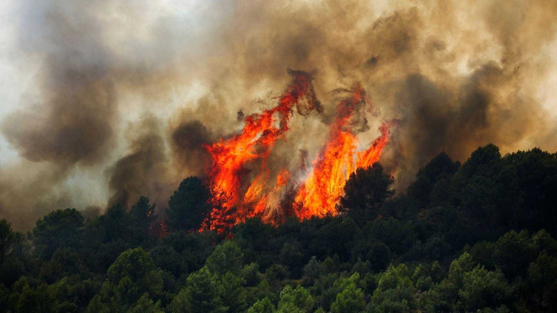 Scientists Express Concern Over Implications of Recent Artana Wildfires
