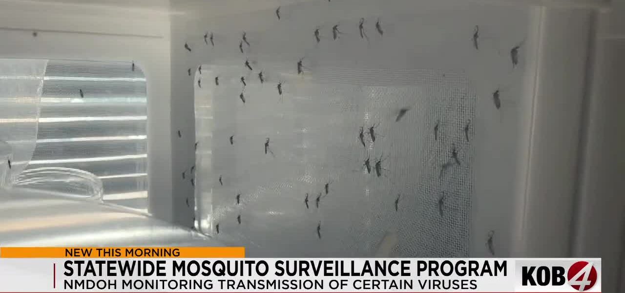 New Mexico’s Mosquito Fight: Tragedy Drives New Policy New Mexico’s Mosquito Fight: Tragedy Drives New Policy