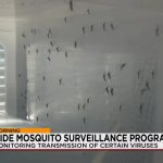 New Mexico’s Mosquito Fight: Tragedy Drives New Policy New Mexico’s Mosquito Fight: Tragedy Drives New Policy