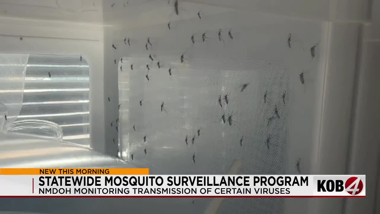 New Mexico’s Mosquito Fight: Tragedy Drives New Policy