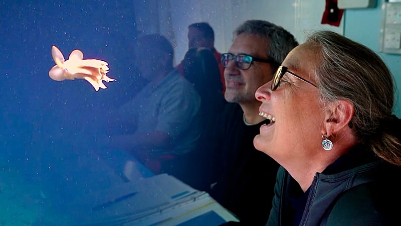 Norway’s Arctic Gold Rush: A Deep-Sea Gamble Threatening Silent Ecosystems Norway’s Arctic Gold Rush: A Deep-Sea Gamble Threatening Silent Ecosystems