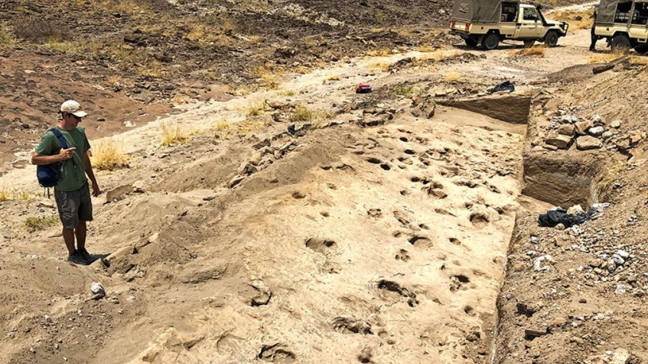 Ancient Footprints in Kenya Reveal Insights on Paranthropus boisei