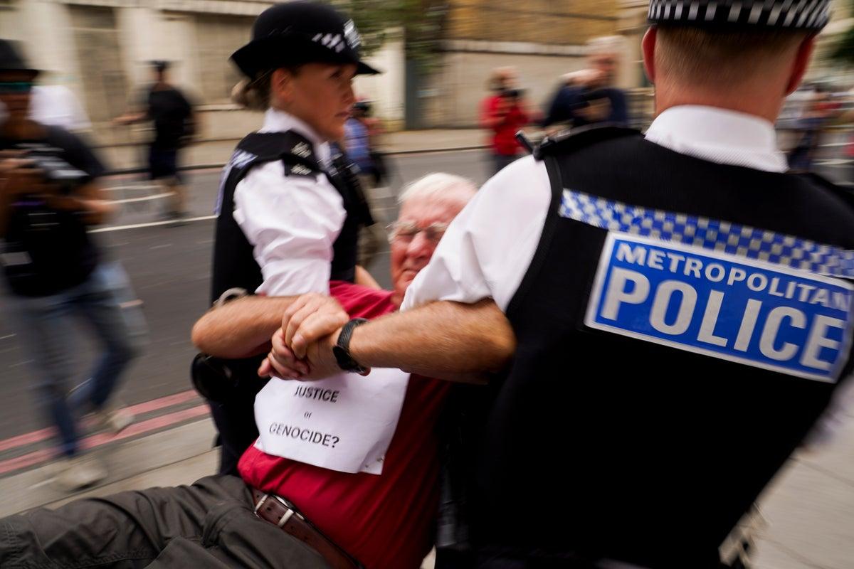 UK Police Arrest Dozens at London Protest Supporting Palestine Action UK Police Arrest Dozens at London Protest Supporting Palestine Action