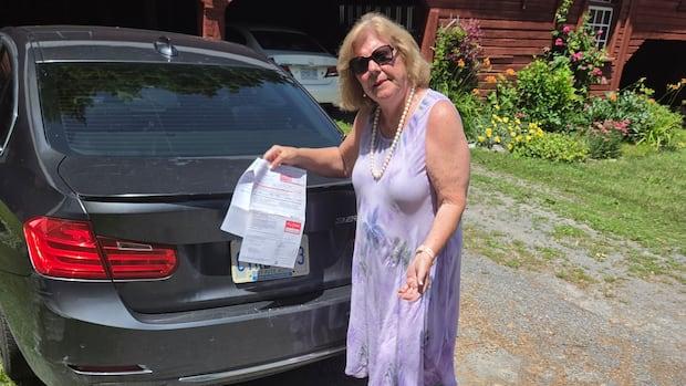 Stolen Car, Parking Ticket: The Bureaucratic Gauntlet Stolen Car, Parking Ticket: The Bureaucratic Gauntlet