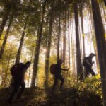 Japan’s Unseen Footpaths Offer Antidote to Over-Tourism, Challenging Global Heritage Models Japan’s Unseen Footpaths Offer Antidote to Over-Tourism, Challenging Global Heritage Models