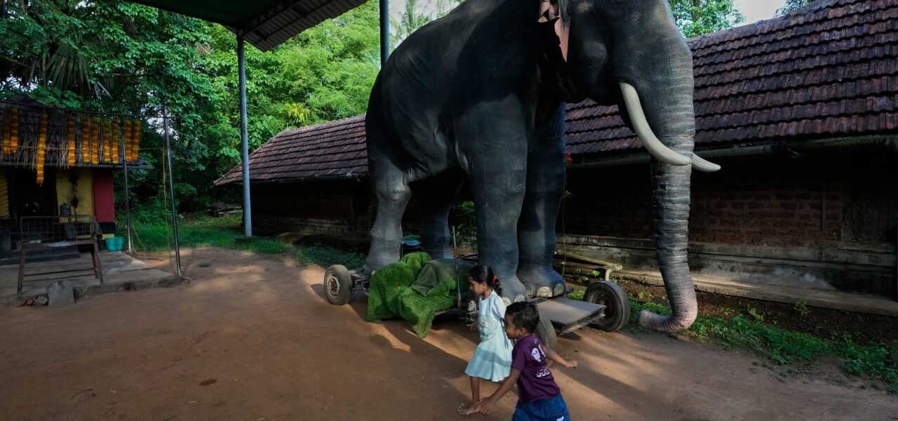 Culture Clash: Robotic Elephants Transform Indian Faith Culture Clash: Robotic Elephants Transform Indian Faith