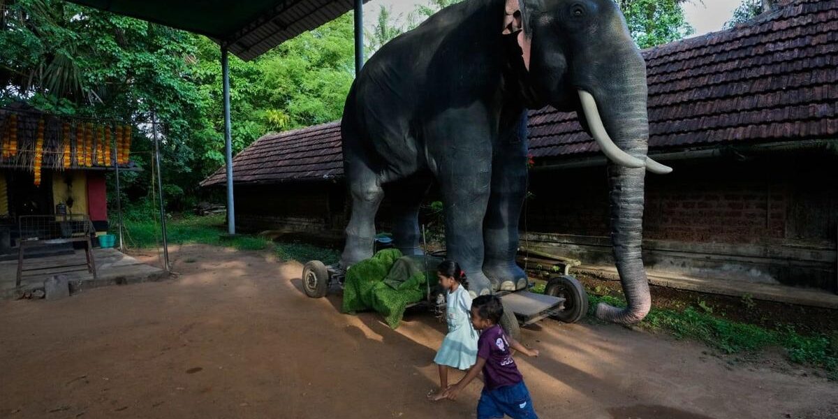 Tech in Temples: Robotic Elephants Divide India Tech in Temples: Robotic Elephants Divide India