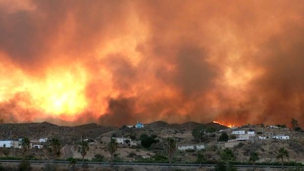 Spain Wildfire Kills 12 Amid Record Temperatures Spain Wildfire Kills 12 Amid Record Temperatures