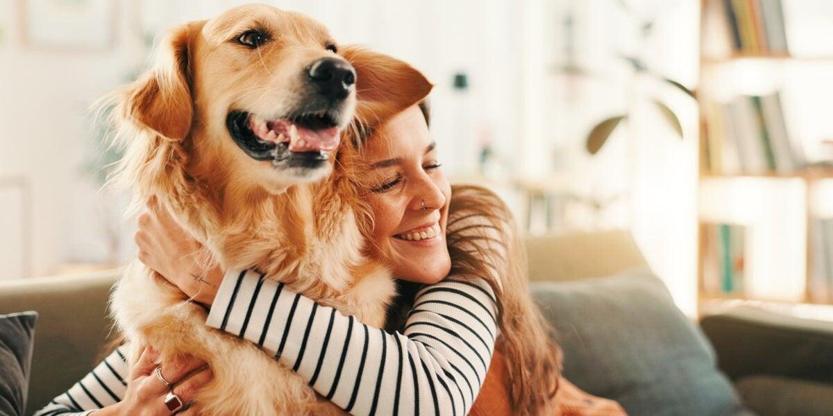 Expert Vet Reveals Common Misconceptions About Dog Behavior Expert Vet Reveals Common Misconceptions About Dog Behavior