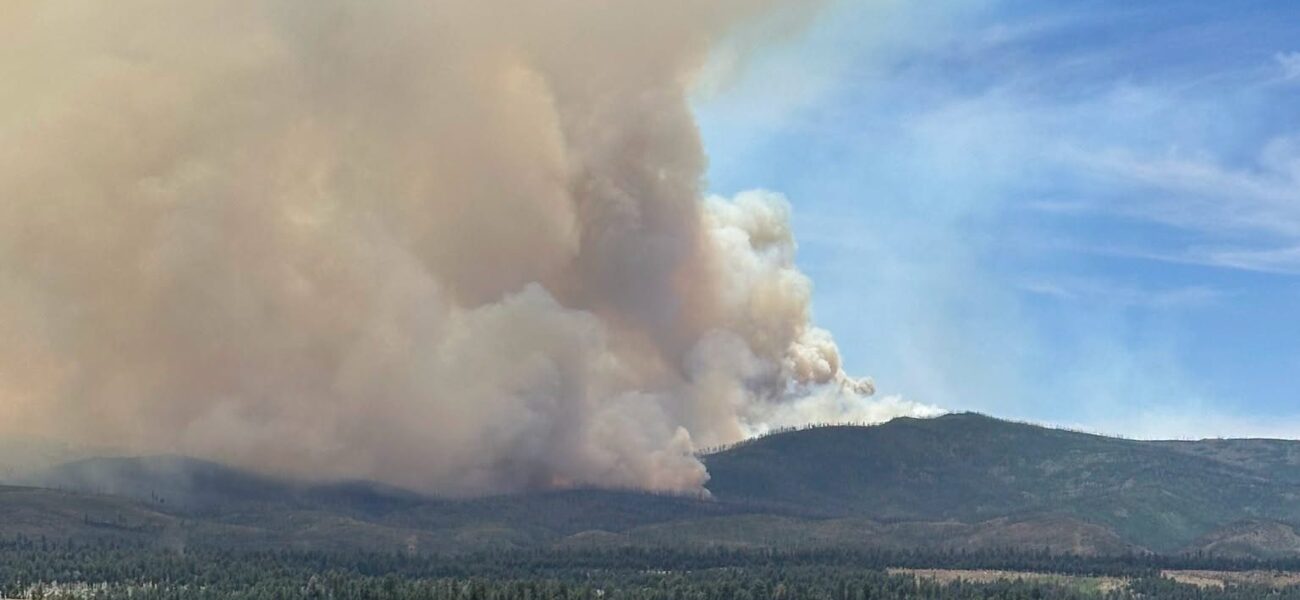 New Mexico Wildfire: Historic Cabin Lost, Climate Crisis