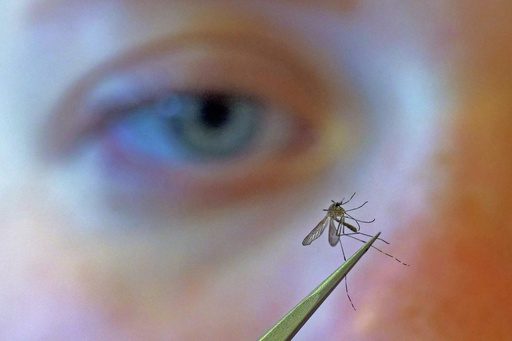 West Nile Surge: Climate Shifts Expose Policy Gaps