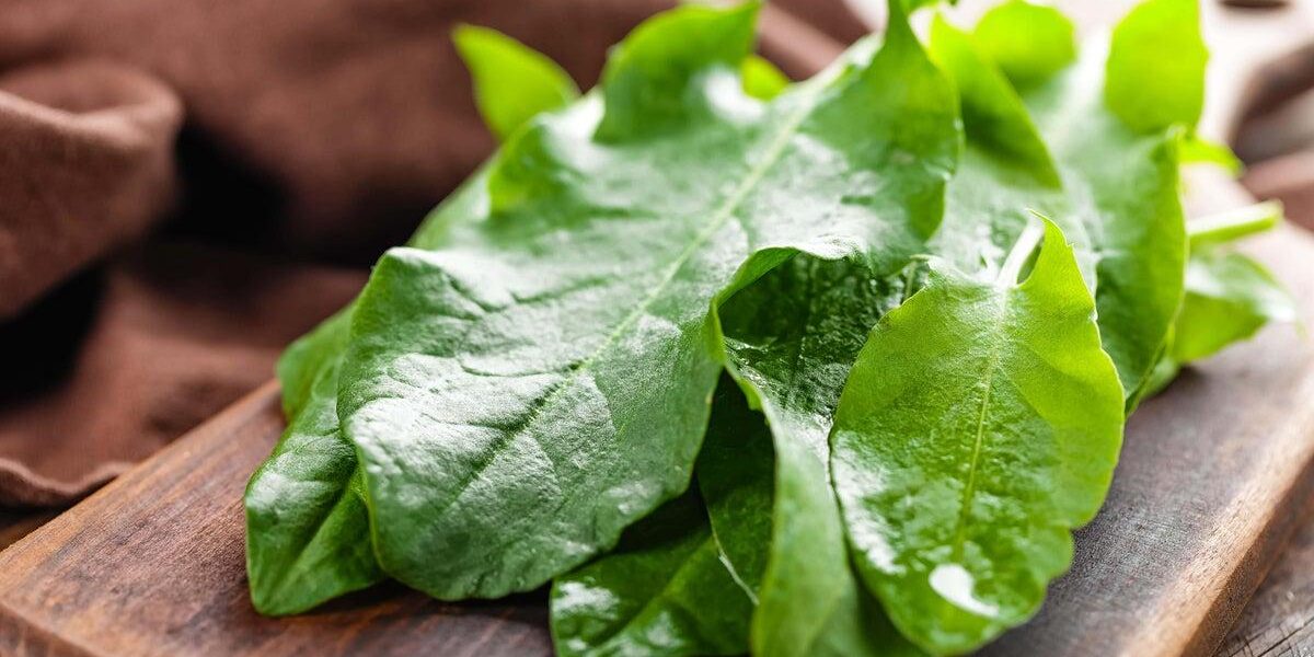 Perennial Vegetables: A Sustainable Future for UK Agriculture? Perennial Vegetables: A Sustainable Future for UK Agriculture?