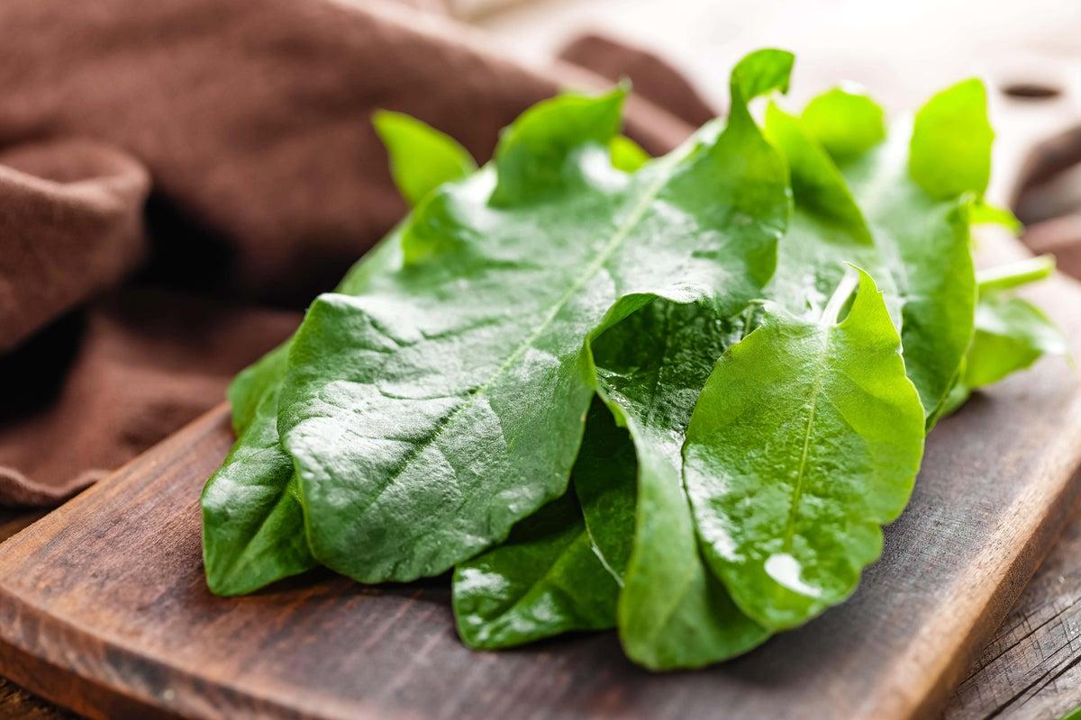 Perennial Vegetables: A Sustainable Future for UK Agriculture?