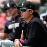 The White Sox’s Bet on Japanese Power: A Geopolitical Metaphor for a Slumping Market The White Sox’s Bet on Japanese Power: A Geopolitical Metaphor for a Slumping Market