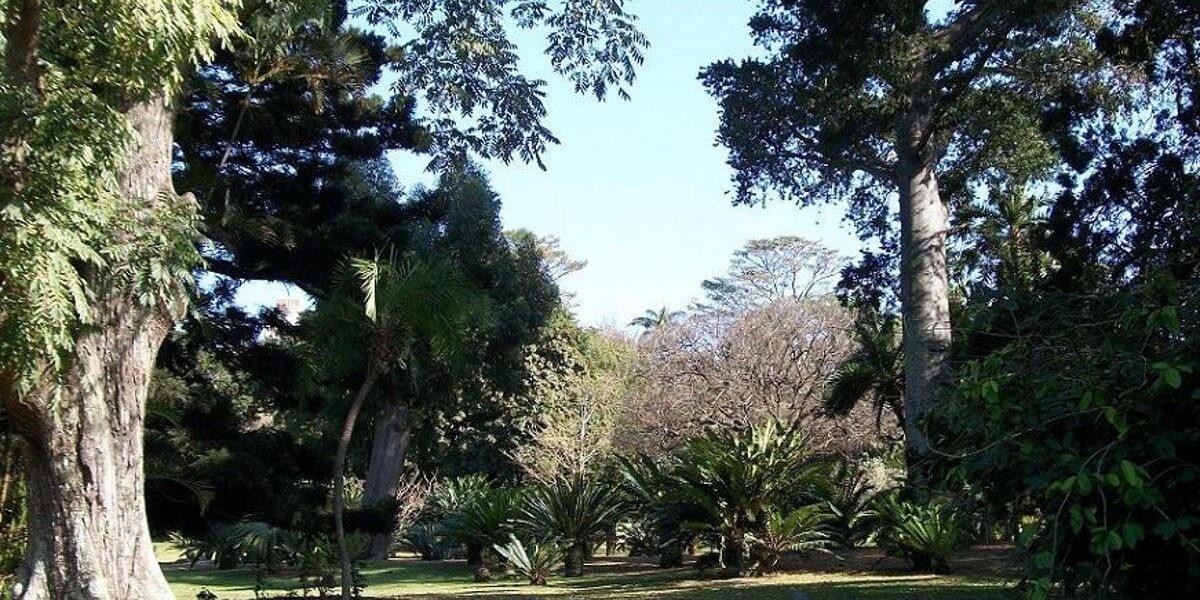 Historical UFO Sighting Report Uncovered in South Africa Historical UFO Sighting Report Uncovered in South Africa