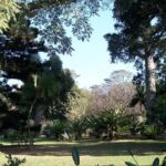 Historical UFO Sighting Report Uncovered in South Africa
